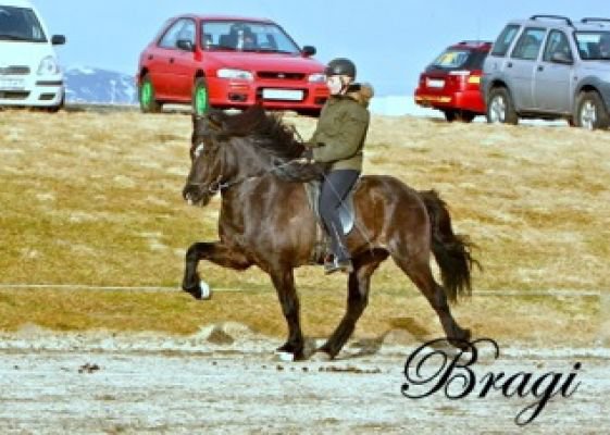 Vetrarleikar II 2012